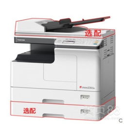 上海