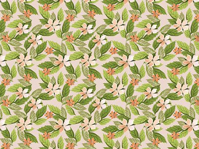 pat文件怎么打开