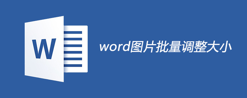 word图片怎么批量调整大小(图1) word图片怎么批量调整大小