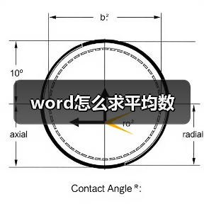 word怎么求平均数(图2) word怎么求平均数(图2)