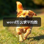 word怎么求平均数(图4) word怎么求平均数(图4)