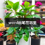 word画笔在哪里(图1) word画笔在哪里(图1)