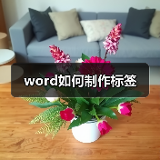 word如何制作标签（图4）