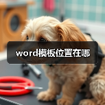 word模板位置在哪(图1) word模板位置在哪(图1)