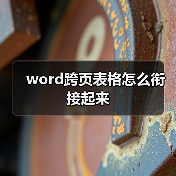 word跨页表格怎么衔接起来（图4）