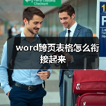 word跨页表格怎么衔接起来（图2）