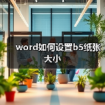 word如何设置b5纸张大小（图3）