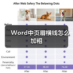 Word中页眉横线怎么加粗（图2）
