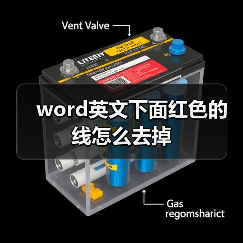 word英文下面红色的线怎么去掉（图3）