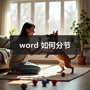 word 如何分节（图3）