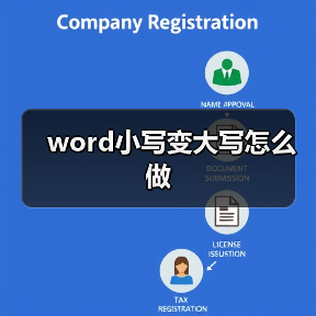 word小写变大写怎么做(图1) word小写变大写怎么做(图1)