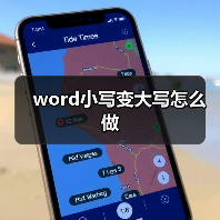 word小写变大写怎么做(图4) word小写变大写怎么做(图4)