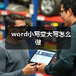 word小写变大写怎么做(图2) word小写变大写怎么做(图2)