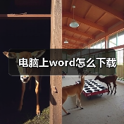 电脑上word怎么下载(图1) 电脑上word怎么下载(图1)