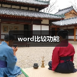 word比较功能(图2) word比较功能(图2)