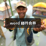 word 邮件合并(图3) word 邮件合并(图3)