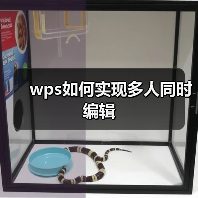 wps如何实现多人同时编辑(图1) wps如何实现多人同时编辑(图1)