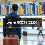 word单实线是哪个（图1）