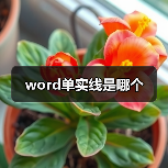 word单实线是哪个（图4）