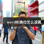 word制表位怎么设置(图1) word制表位怎么设置(图1)