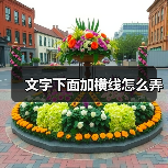文字下面加横线怎么弄(图3) 文字下面加横线怎么弄(图3)