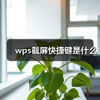 wps截屏快捷键是什么(图4) wps截屏快捷键是什么(图4)