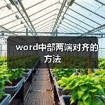 word中部两端对齐的方法（图1）