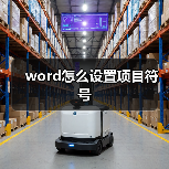 word怎么设置项目符号(图1) word怎么设置项目符号(图1)