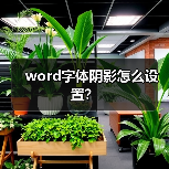word字体阴影怎么设置？（图3）