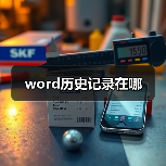 word历史记录在哪(图1) word历史记录在哪(图1)