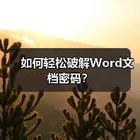 如何轻松破解Word文档密码?(图4) 如何轻松破解Word文档密码?(图4)