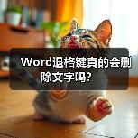 Word退格键真的会删除文字吗?(图3) Word退格键真的会删除文字吗?(图3)
