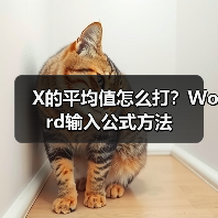 X的平均值怎么打？Word输入公式方法（图3）