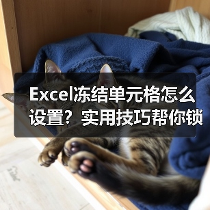 Excel冻结单元格怎么设置?实用技巧帮你锁定表头行(图1) Excel冻结单元格怎么设置?实用技巧帮你锁定表头行(图1)