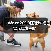 Word2010在哪种视图显示网格线?(图4) Word2010在哪种视图显示网格线?(图4)