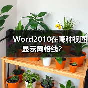 Word2010在哪种视图显示网格线?(图2) Word2010在哪种视图显示网格线?(图2)