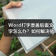Word打字覆盖后面文字怎么办?如何解决插入模式问题(图2) Word打字覆盖后面文字怎么办?如何解决插入模式问题(图2)