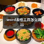 word表格工具怎么调出（图4）