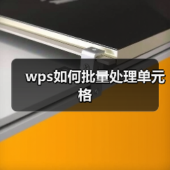 wps如何批量处理单元格（图2）