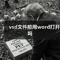 vsd文件能用word打开吗(图1) vsd文件能用word打开吗(图1)