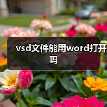 vsd文件能用word打开吗(图2) vsd文件能用word打开吗(图2)