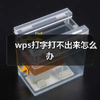 wps打字打不出来怎么办（图2）