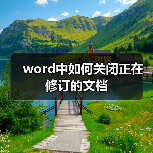 word中如何关闭正在修订的文档（图3）