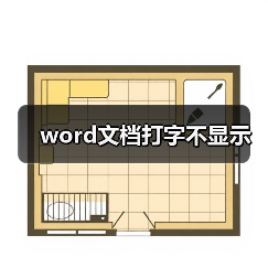 word文档打字不显示（图2）