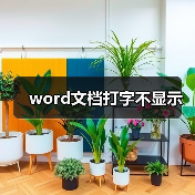 word文档打字不显示（图4）