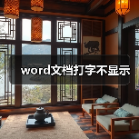word文档打字不显示（图3）