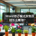 Word修订模式灰色区域怎么删除？（图2）