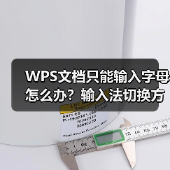 WPS文档只能输入字母怎么办？输入法切换方法全解析（图3）