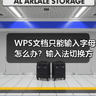 WPS文档只能输入字母怎么办？输入法切换方法全解析（图4）
