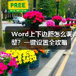 Word上下边距怎么调整？一键设置全攻略（图2）
